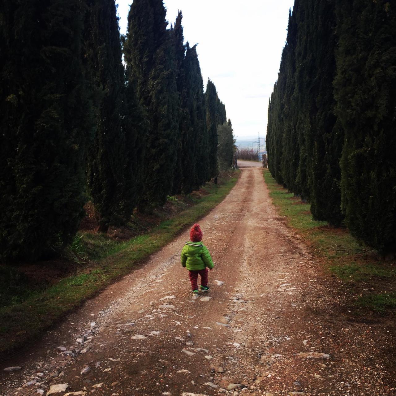 Az.Agr. Il Cavalleggero Campiglia dʼOrcia Esterno foto