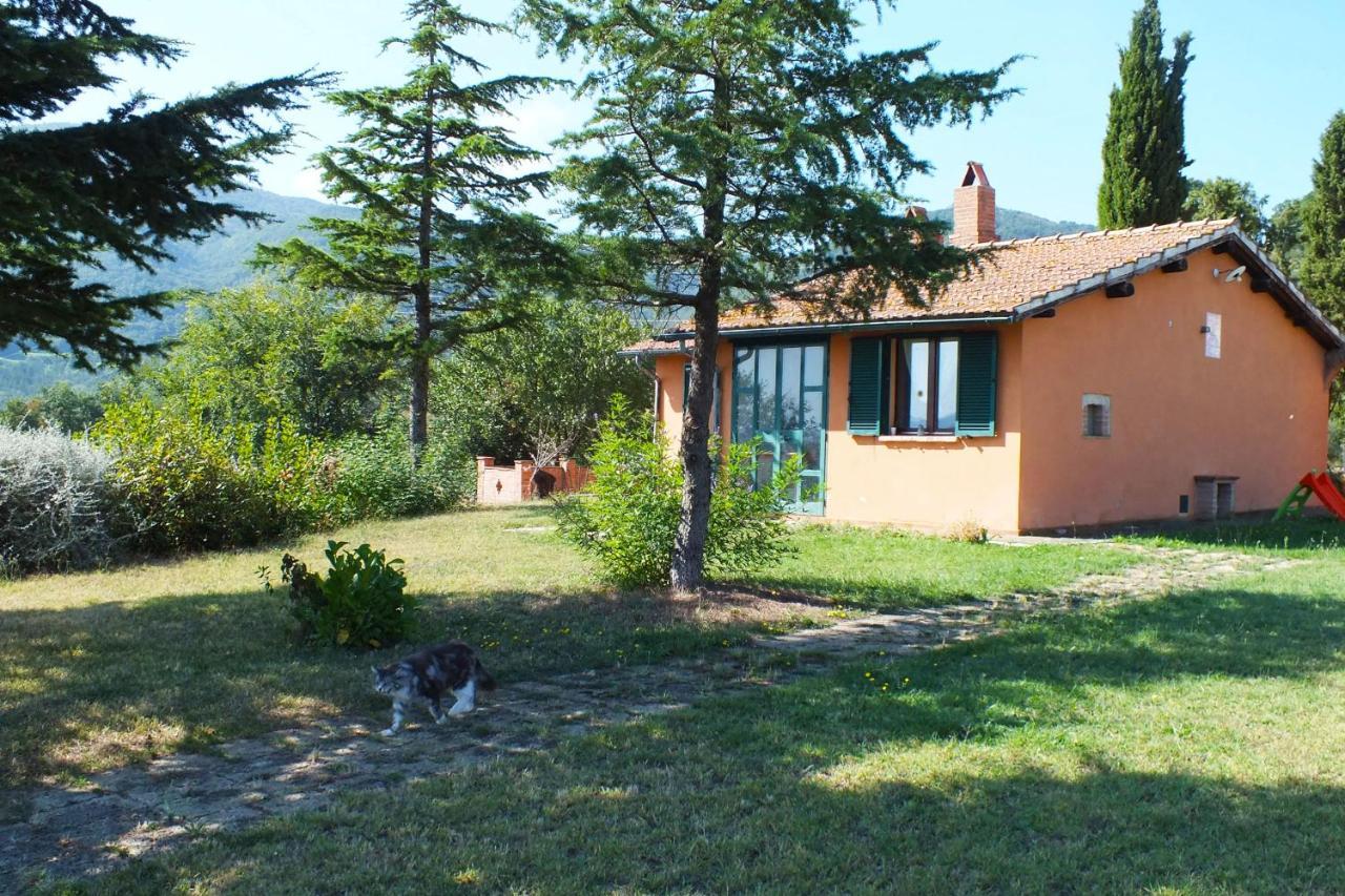 Az.Agr. Il Cavalleggero Campiglia dʼOrcia Esterno foto