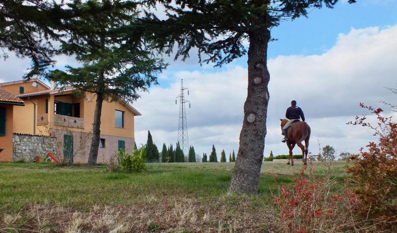 Az.Agr. Il Cavalleggero Campiglia dʼOrcia Esterno foto