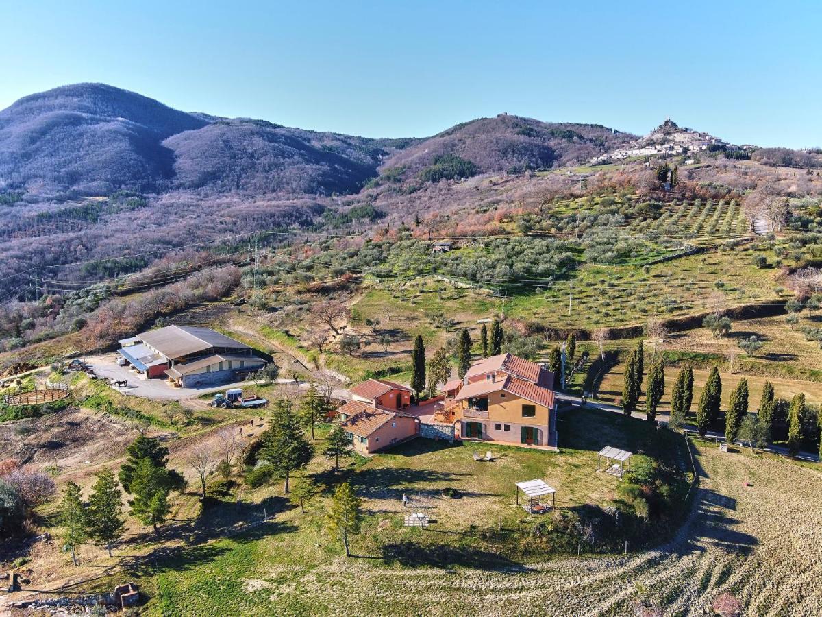 Az.Agr. Il Cavalleggero Campiglia dʼOrcia Esterno foto