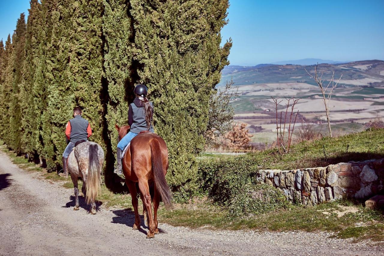 Az.Agr. Il Cavalleggero Campiglia dʼOrcia Esterno foto